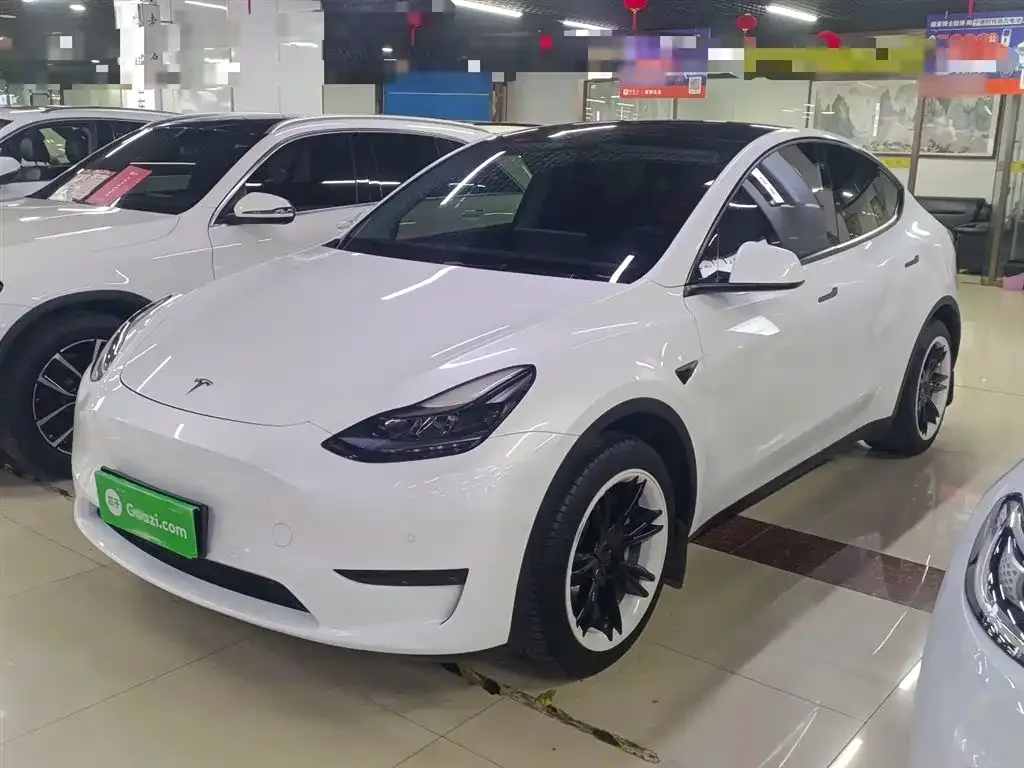 Tesla Model Y 2023 из CN, фото 2