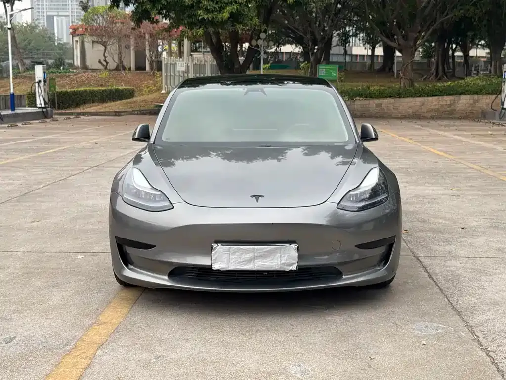 Tesla Model 3 2021 из CN, фото 2