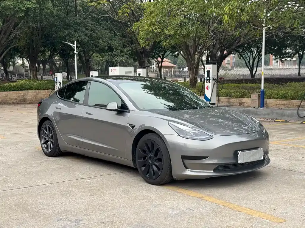Tesla Model 3 2021 из CN, фото 3