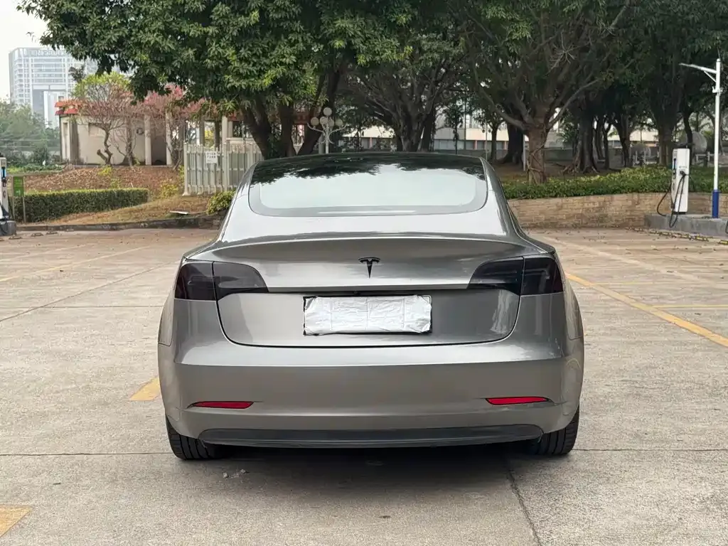 Tesla Model 3 2021 из CN, фото 5