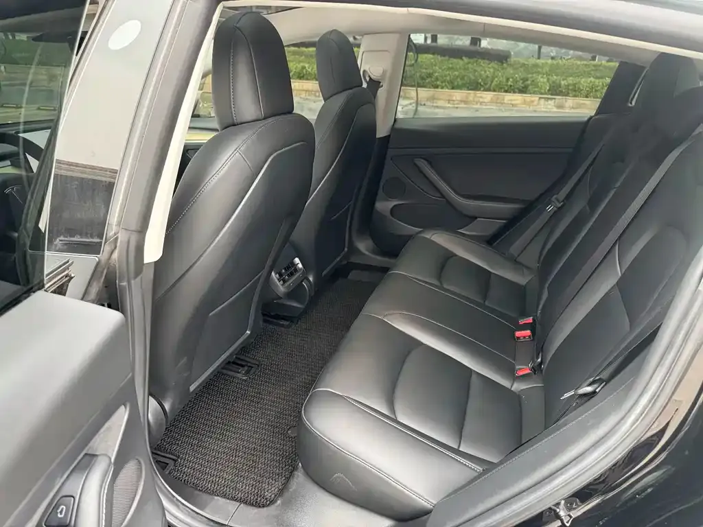 Tesla Model 3 2021 из CN, фото 9