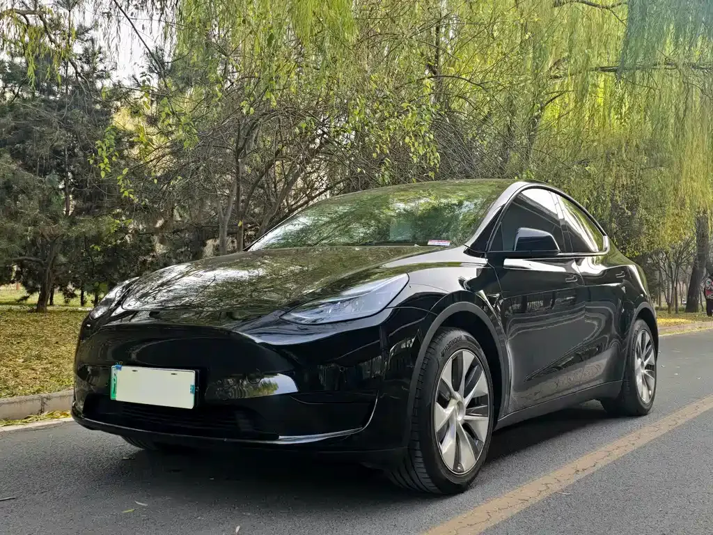 Tesla Model Y 2022 из CN, фото 1