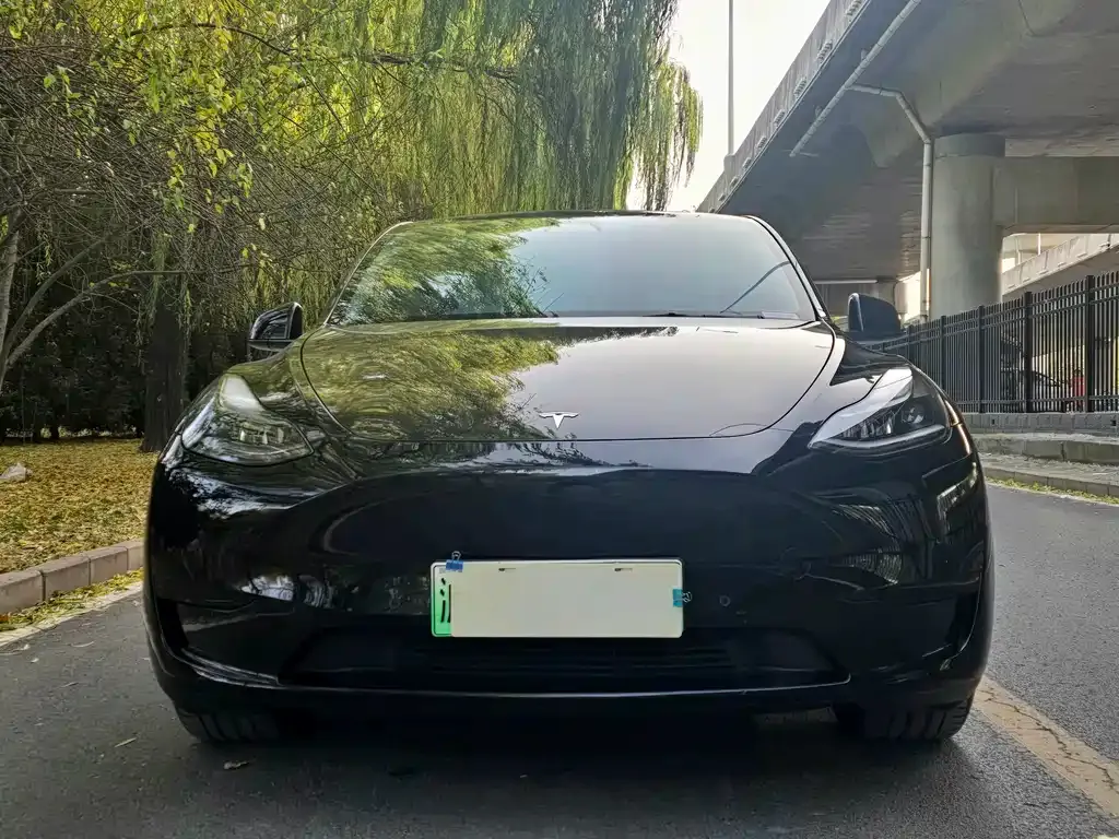 Tesla Model Y 2022 из CN, фото 2