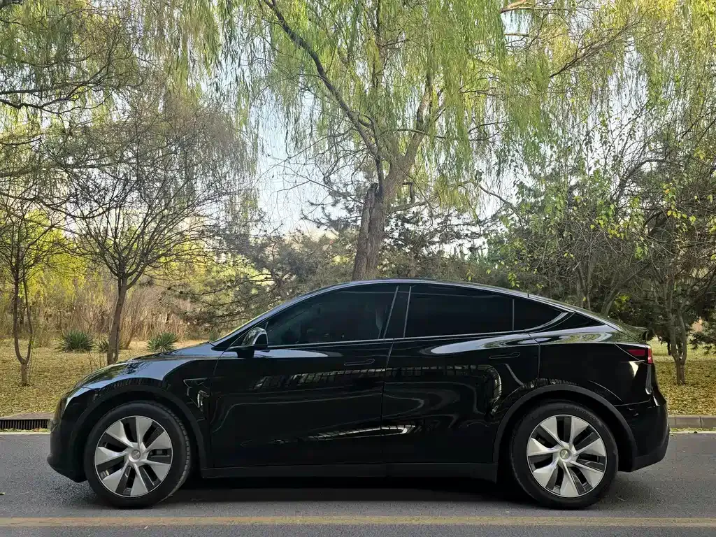 Tesla Model Y 2022 из CN, фото 3