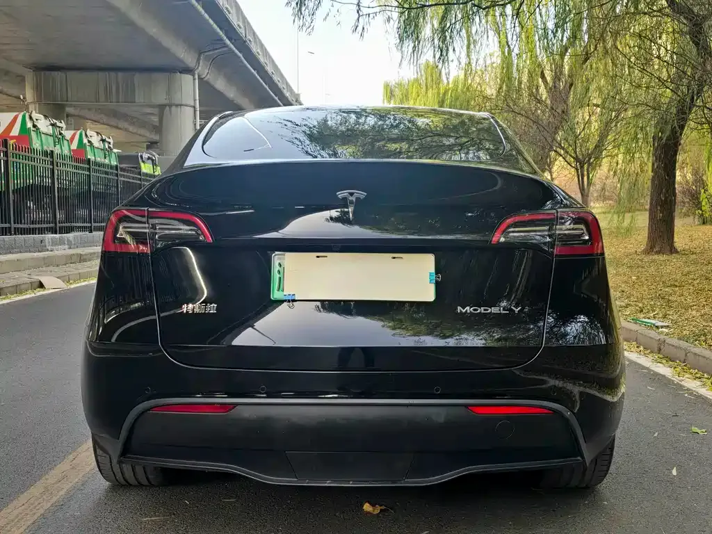 Tesla Model Y 2022 из CN, фото 4
