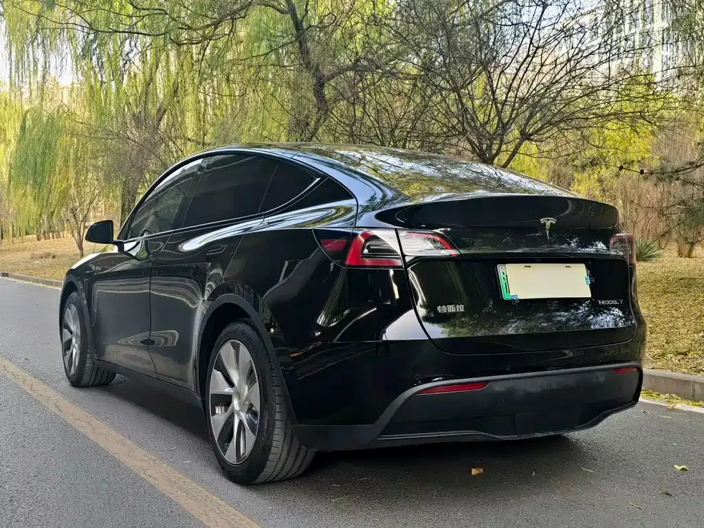 Tesla Model Y 2022 из CN, фото 5