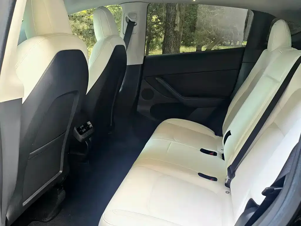 Tesla Model Y 2022 из CN, фото 7