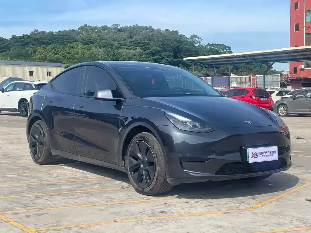 Tesla Model Y 2025 из CN, фото 2
