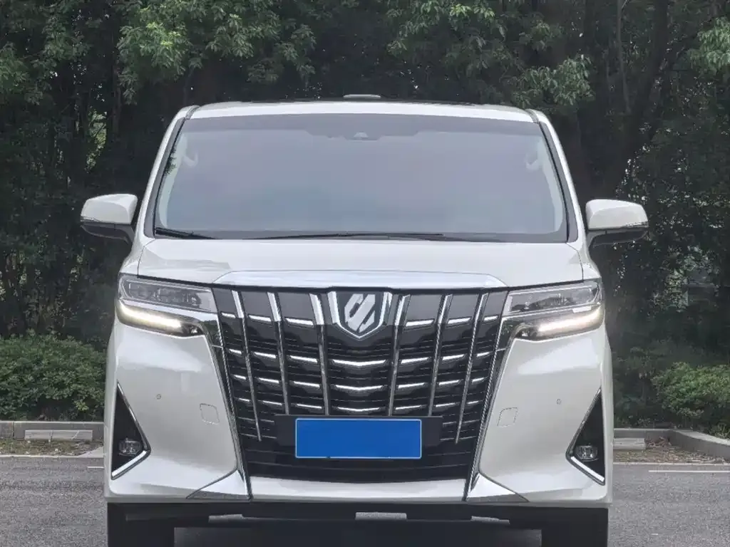 Toyota Alphard 2021 из CN, фото 2