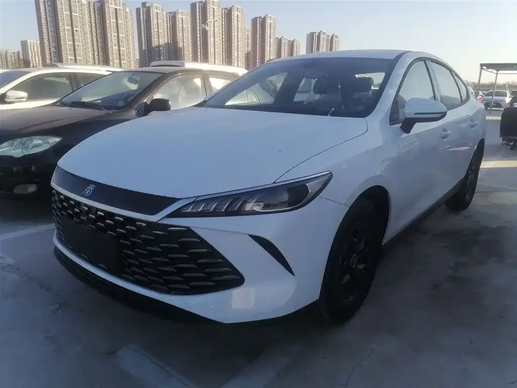 BYD Qin PLUS 2025 из CN, фото 1