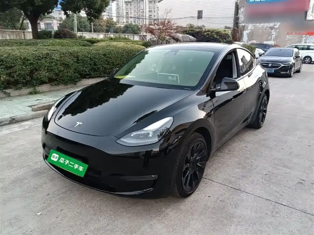 Tesla Model Y 2021 из CN, фото 1