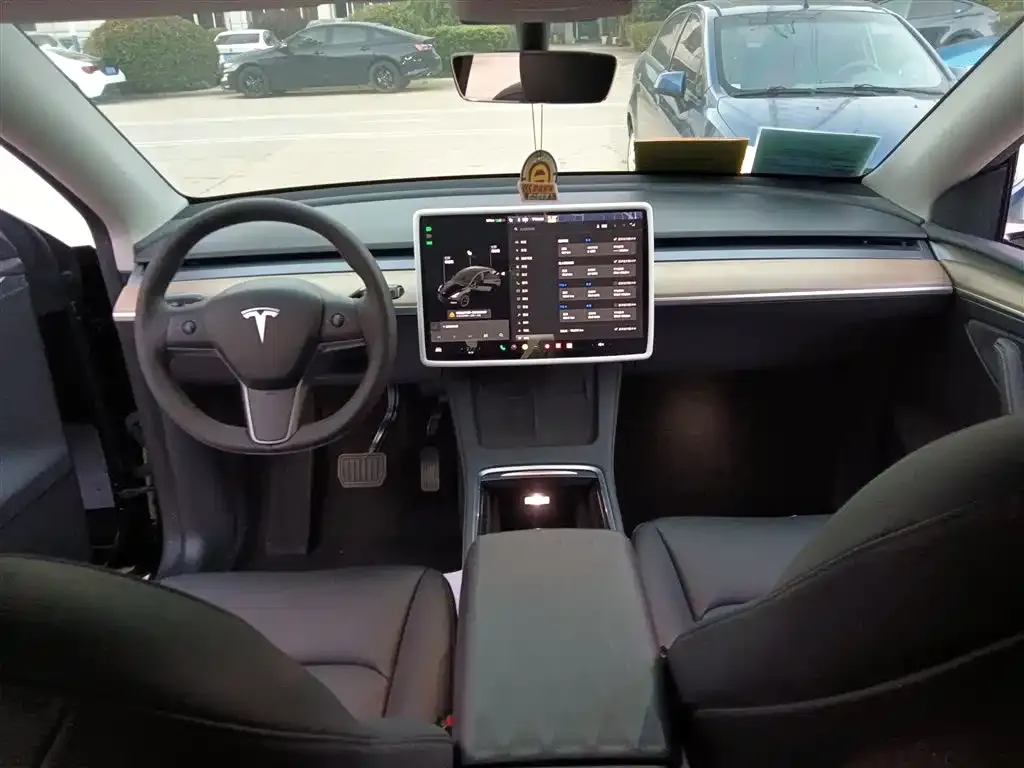 Tesla Model Y 2021 из CN, фото 10