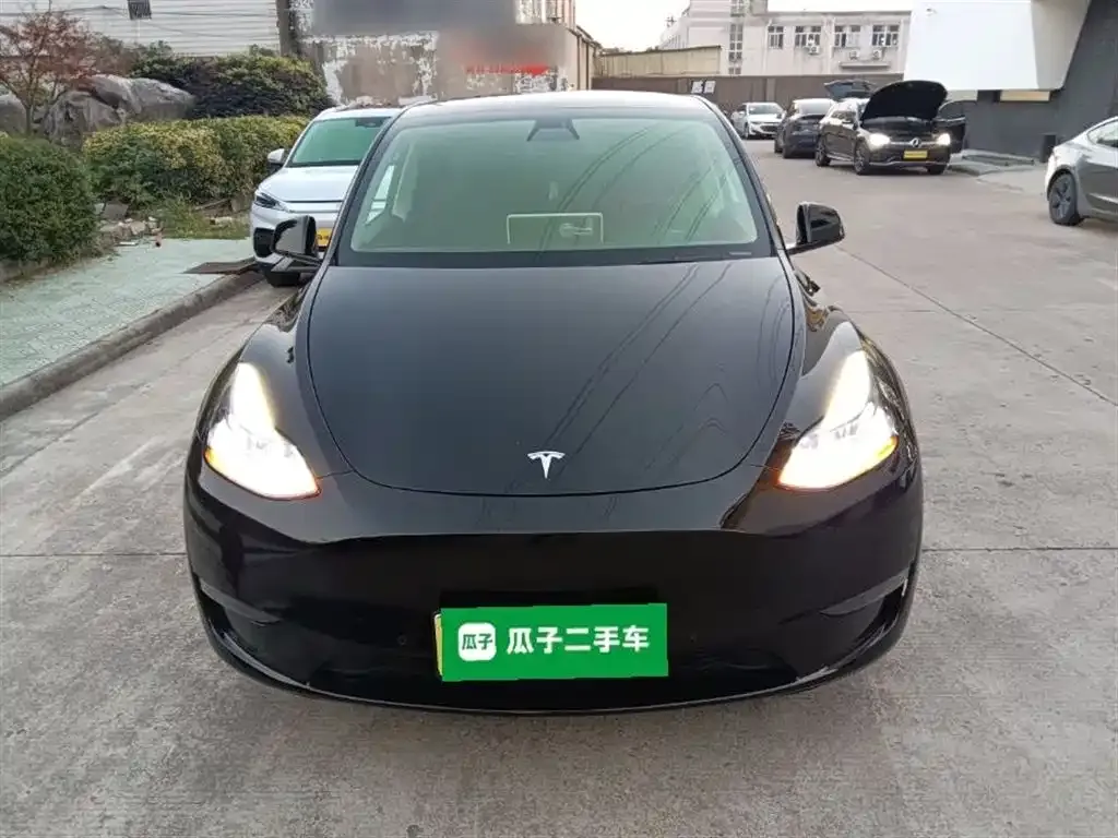 Tesla Model Y 2021 из CN, фото 3