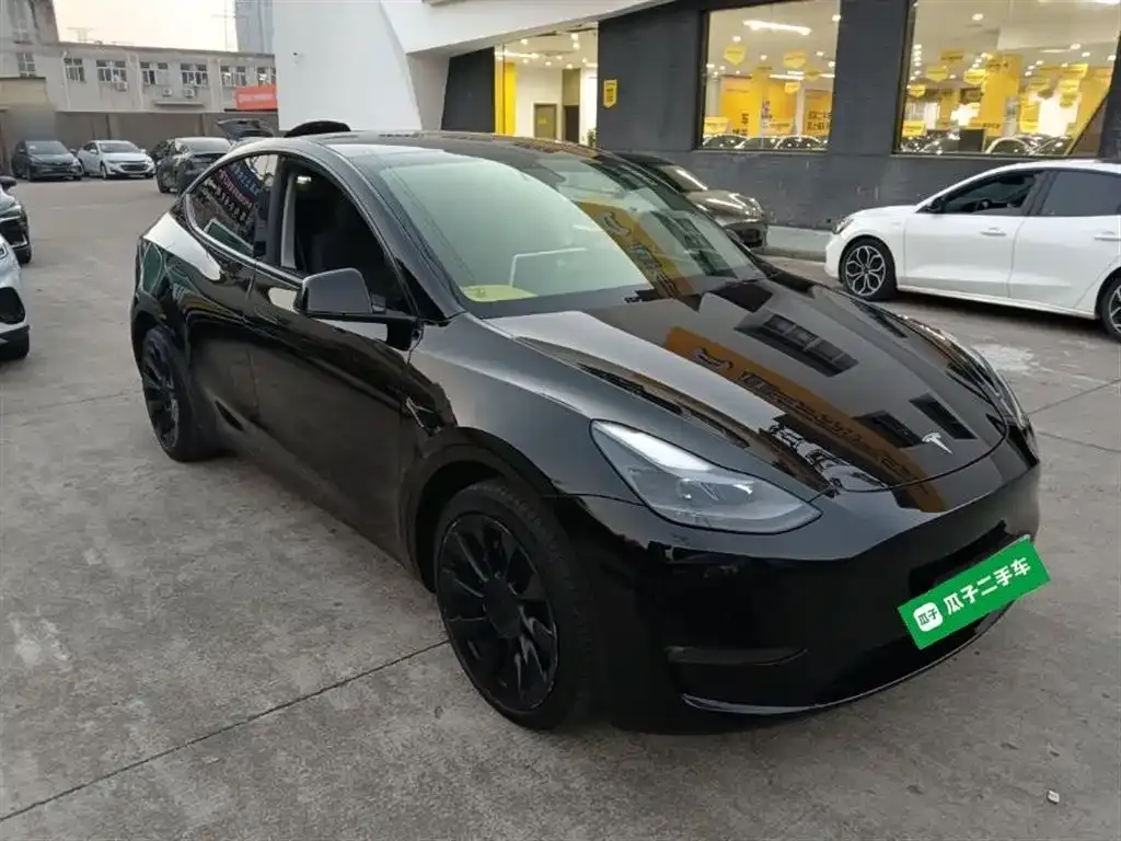 Tesla Model Y 2021 из CN, фото 4