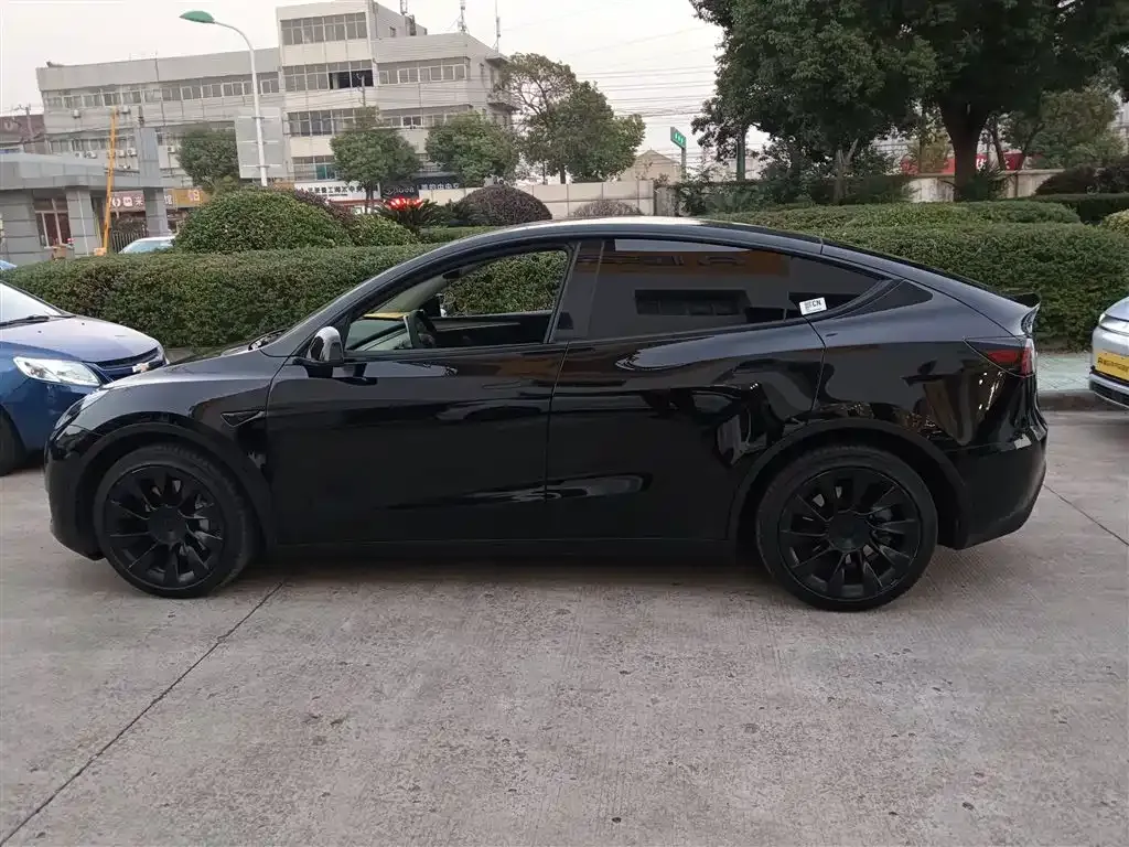 Tesla Model Y 2021 из CN, фото 5