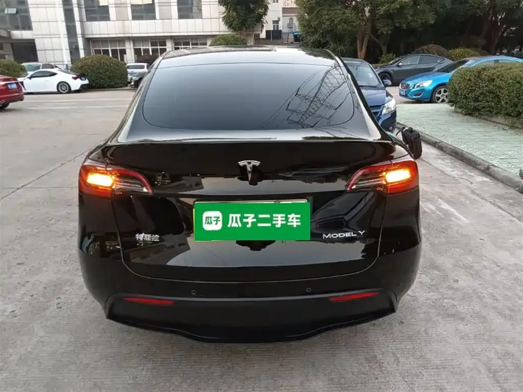 Tesla Model Y 2021 из CN, фото 6