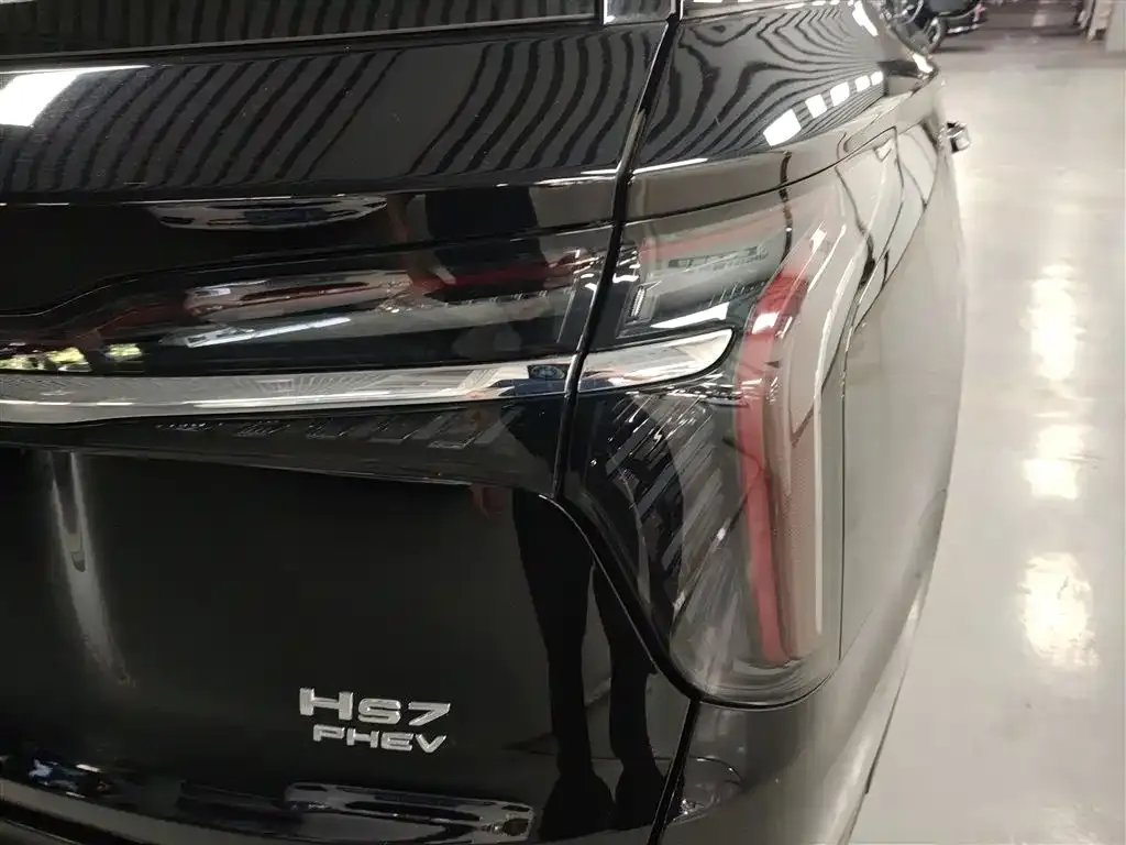 Hongqi HS7 PHEV 2025 из CN, фото 8