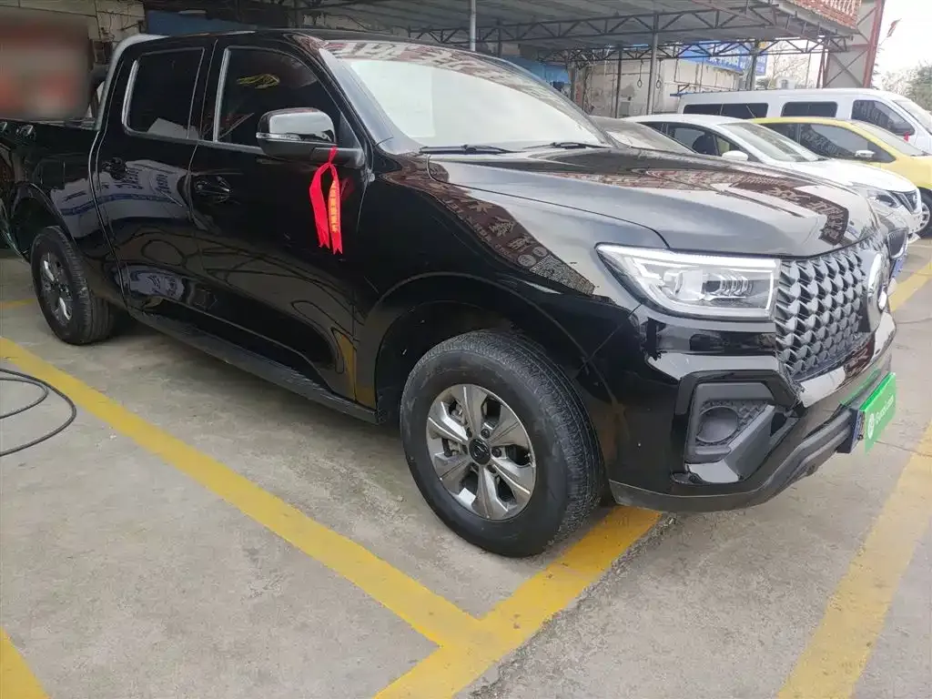 Great Wall Pao 2025 из CN, фото 4