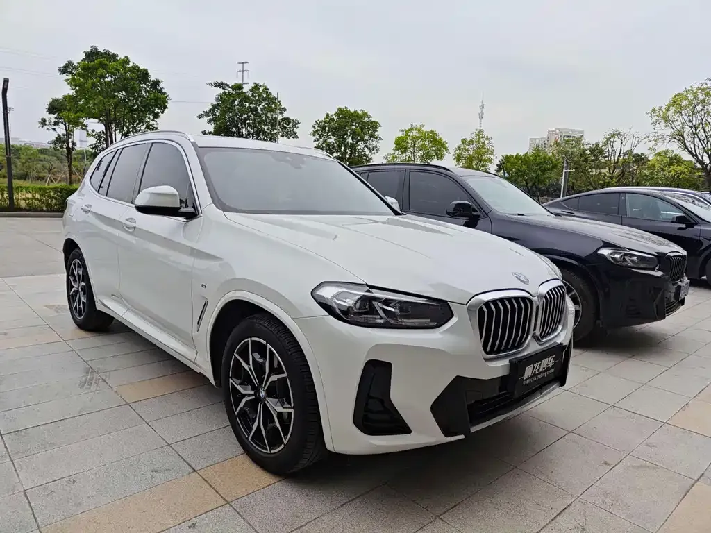 BMW X3 2023 из CN, фото 3