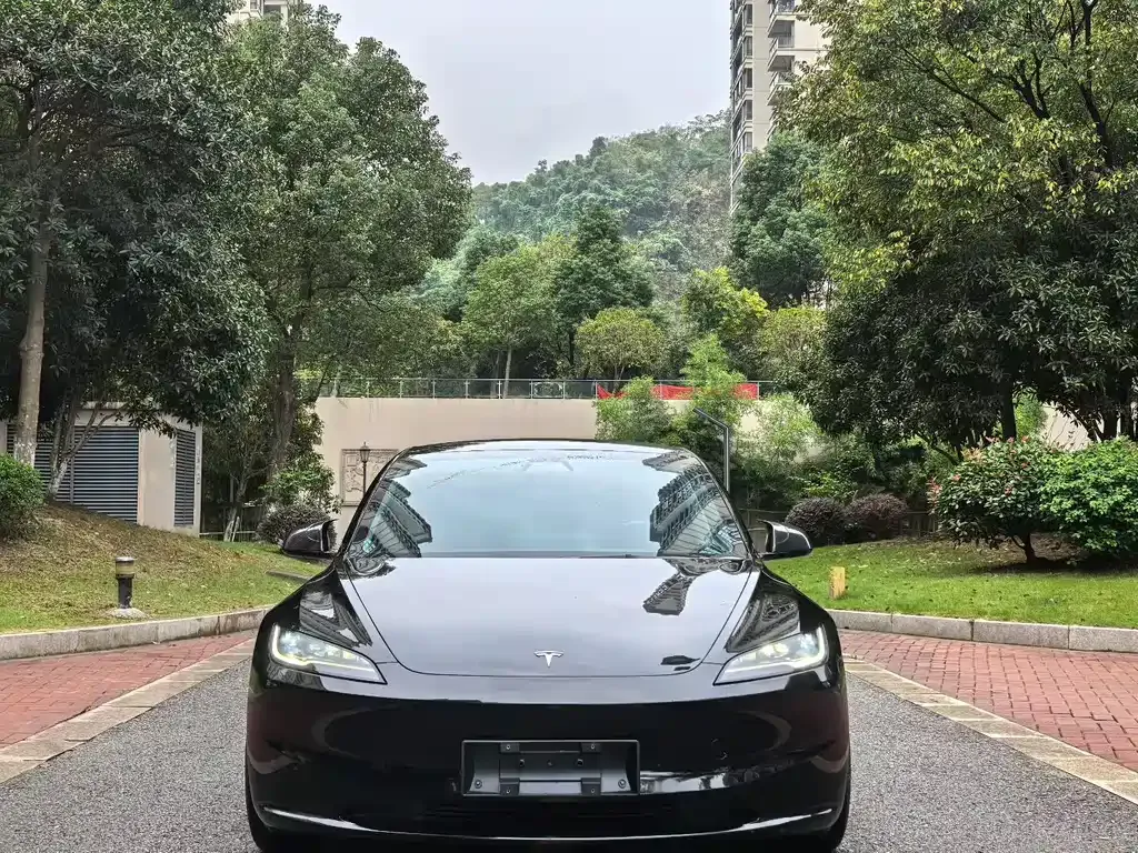 Tesla Model 3 2024 из CN, фото 2