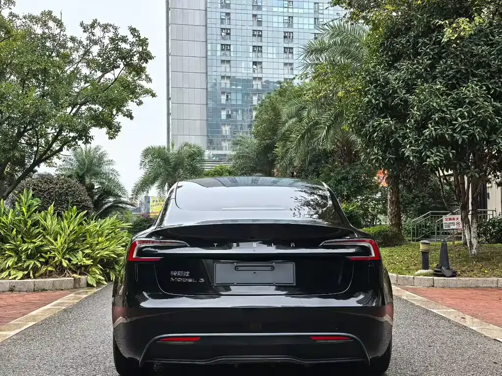 Tesla Model 3 2024 из CN, фото 8