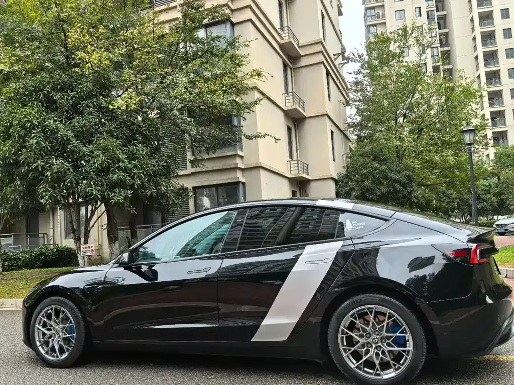 Tesla Model 3 2024 из CN, фото 9