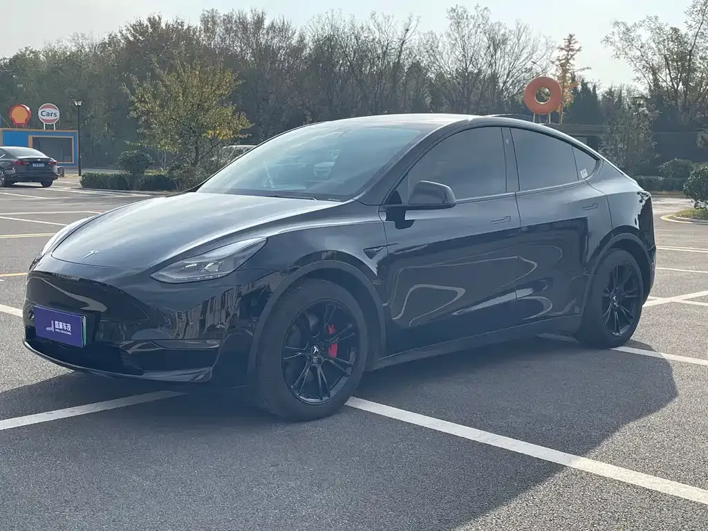 Tesla Model Y — фото 1