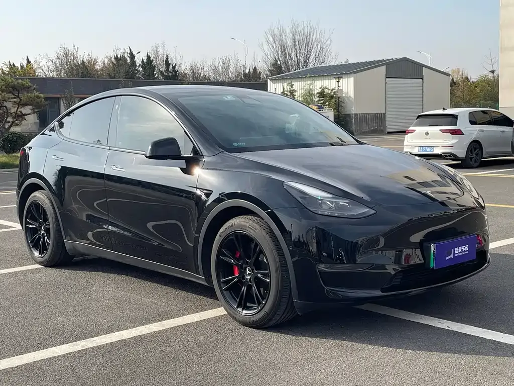 Tesla Model Y — фото 3