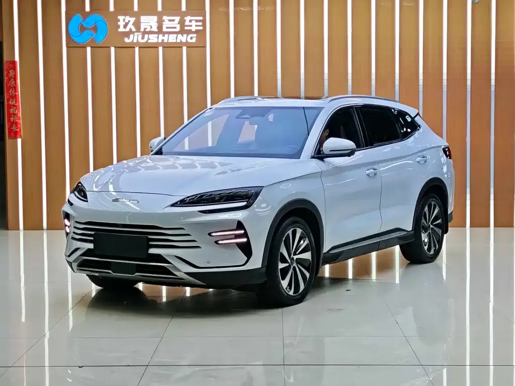 BYD PLUS New Energy 2024 из CN, фото 1