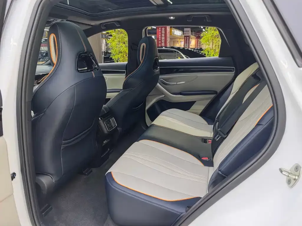 BYD PLUS New Energy 2024 из CN, фото 10