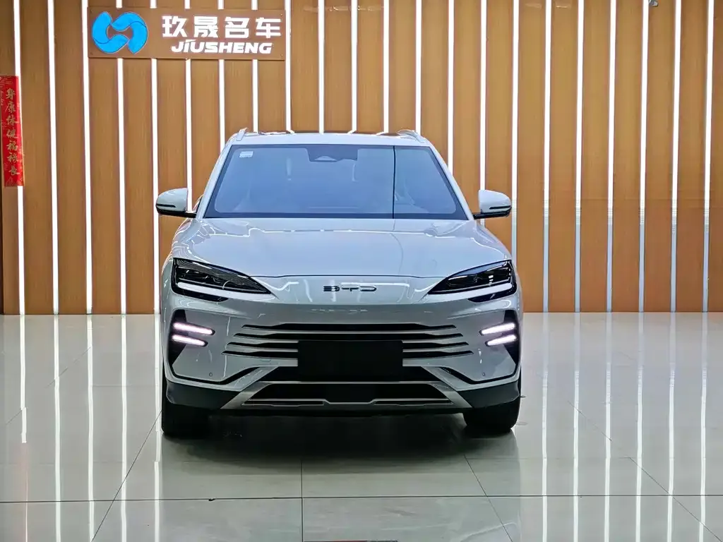 BYD PLUS New Energy 2024 из CN, фото 2