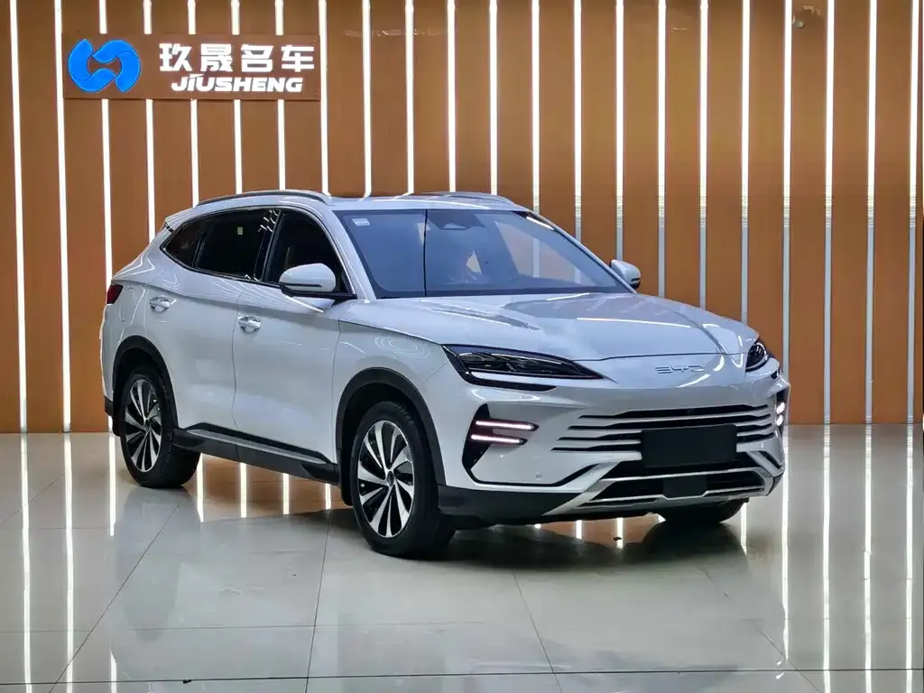 BYD PLUS New Energy 2024 из CN, фото 3