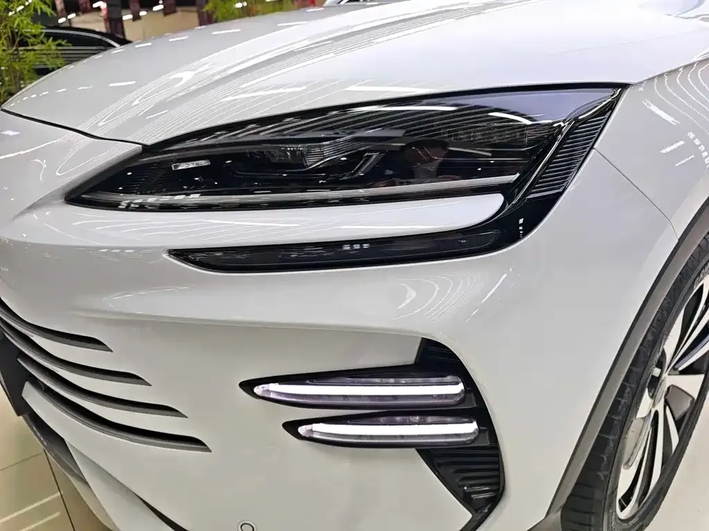 BYD PLUS New Energy 2024 из CN, фото 4