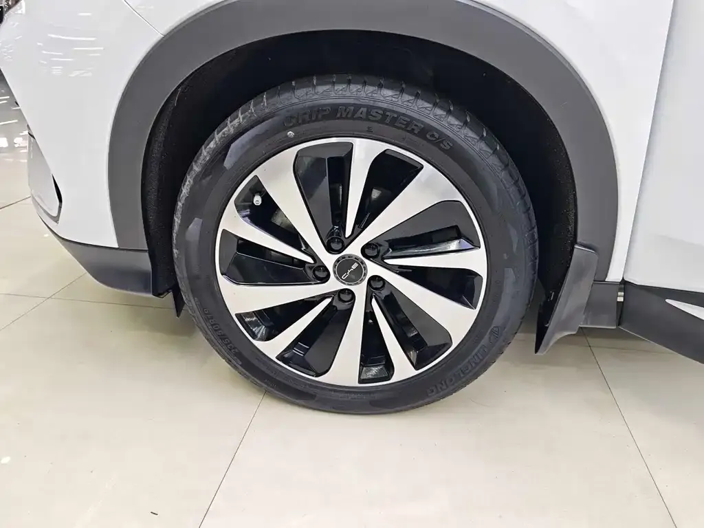 BYD PLUS New Energy 2024 из CN, фото 5