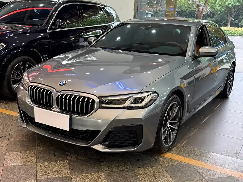 BMW 5 Series (Import) 2022 из CN, фото 1