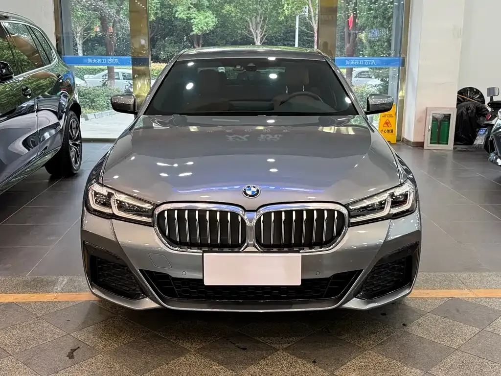 BMW 5 Series (Import) 2022 из CN, фото 2
