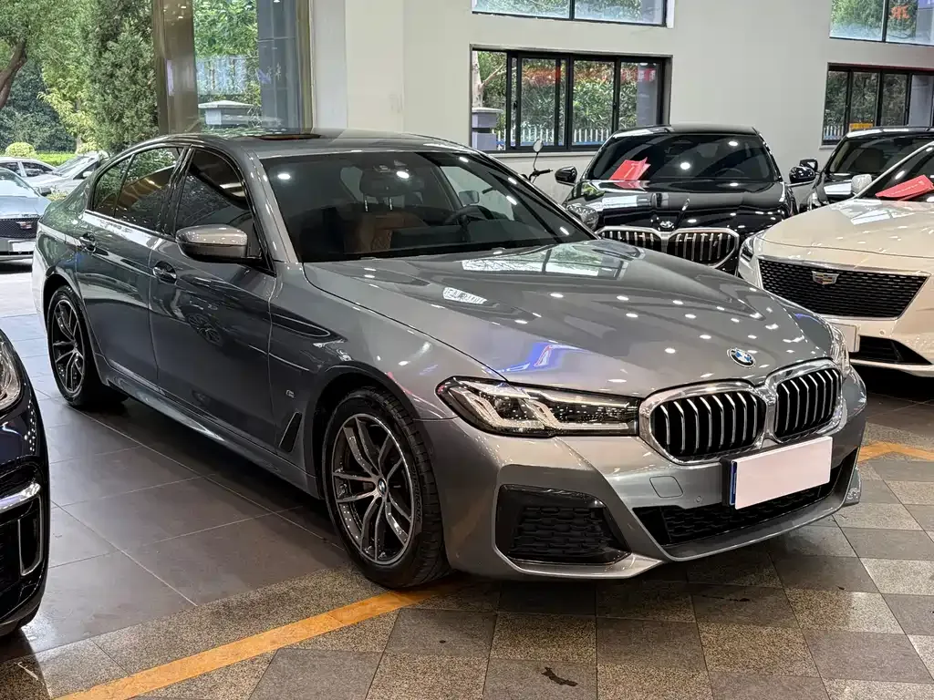 BMW 5 Series (Import) 2022 из CN, фото 3