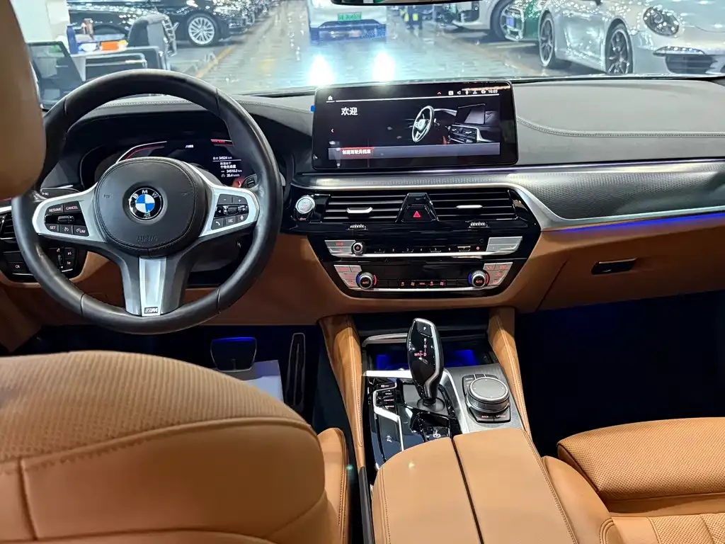 BMW 5 Series (Import) 2022 из CN, фото 8