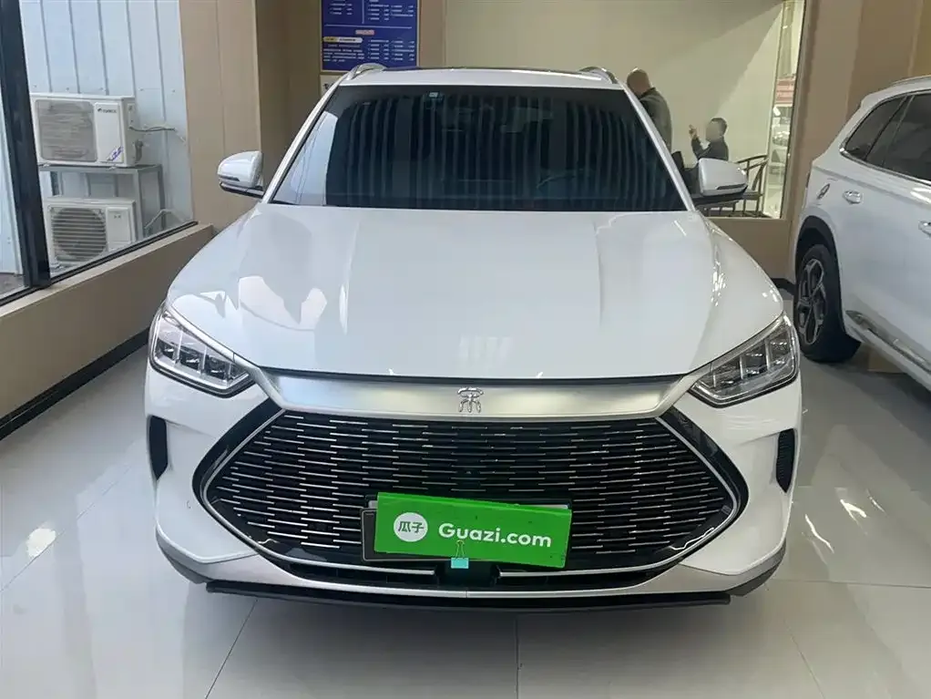 BYD PLUS New Energy 2022 из CN, фото 10