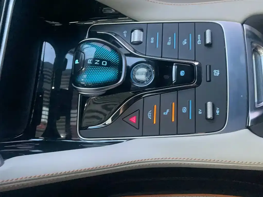 BYD PLUS New Energy 2022 из CN, фото 4