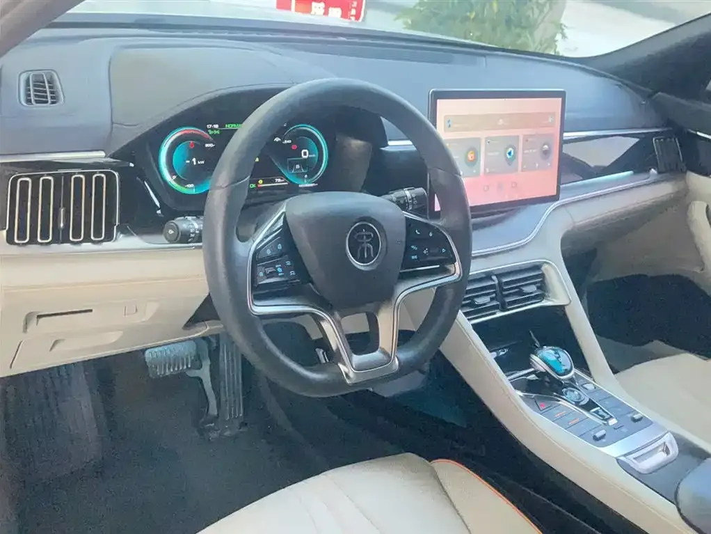 BYD PLUS New Energy 2022 из CN, фото 6