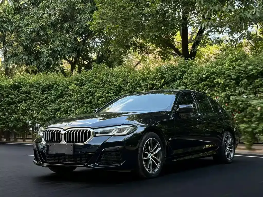 BMW 5 Series (Import) 2021 из CN, фото 1