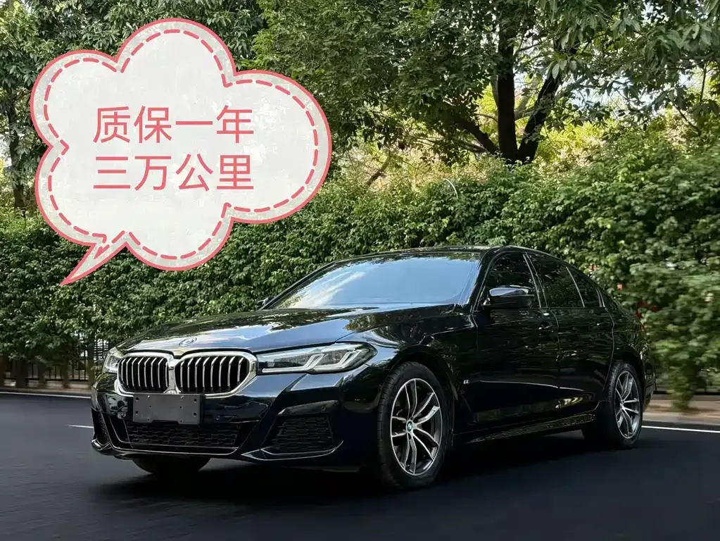 BMW 5 Series (Import) 2021 из CN, фото 2