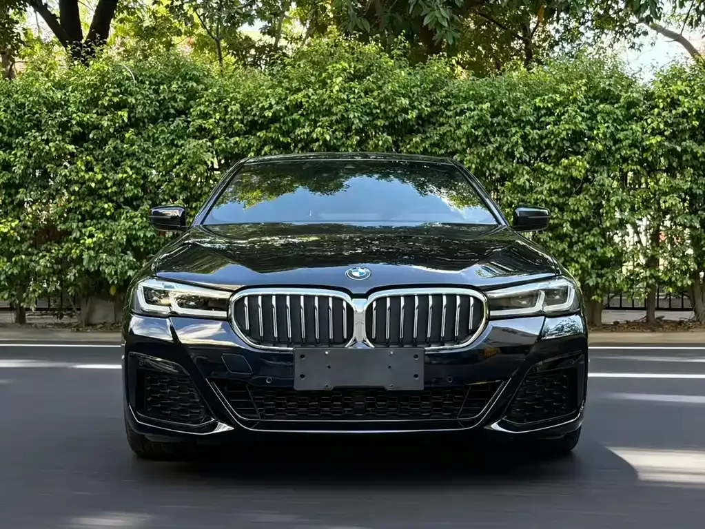 BMW 5 Series (Import) 2021 из CN, фото 3