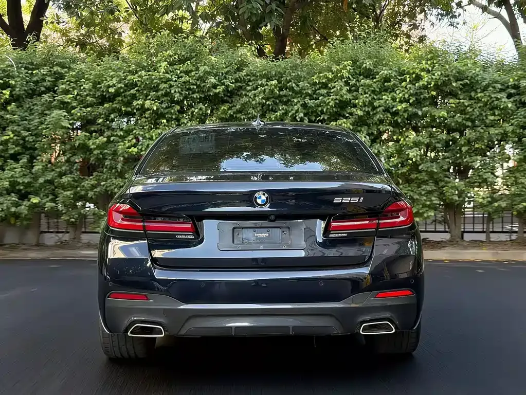 BMW 5 Series (Import) 2021 из CN, фото 5