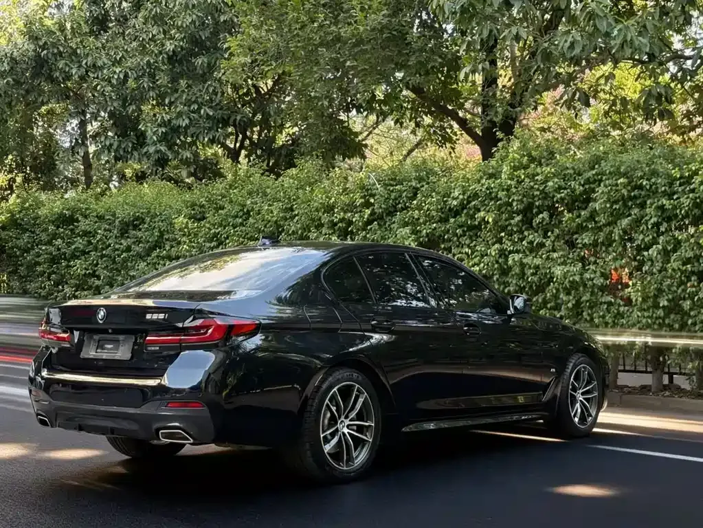 BMW 5 Series (Import) 2021 из CN, фото 6