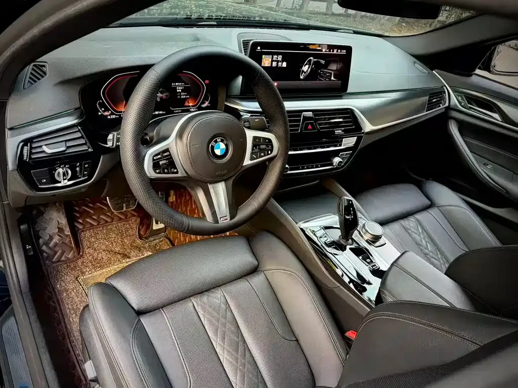 BMW 5 Series (Import) 2021 из CN, фото 7