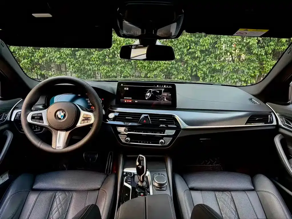 BMW 5 Series (Import) 2021 из CN, фото 9