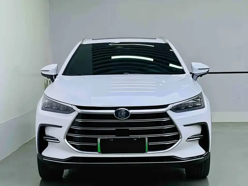 BYD Tang New Energy — фото 2
