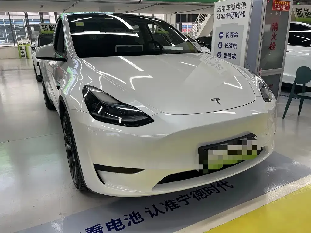 Tesla Model Y 2024 из CN, фото 2